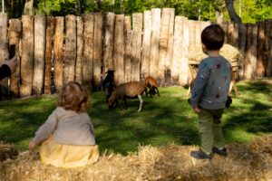 Archeopark Cífer - Pác, zdroj foto Archeopark Cífer - Pác