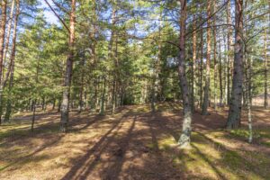 ilustračná foto, zdroj: pixabay.com